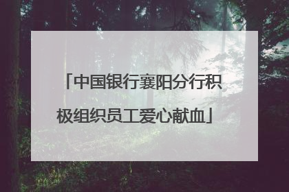 中国银行襄阳分行积极组织员工爱心献血
