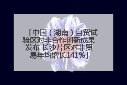 中国（湖南）自贸试验区对非合作创新成果发布 长沙片区对非贸易年均增长141%