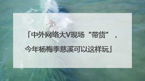中外网络大V现场“带货”，今年杨梅季慈溪可以这样玩
