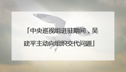 中央巡视组进驻期间，吴建平主动向组织交代问题