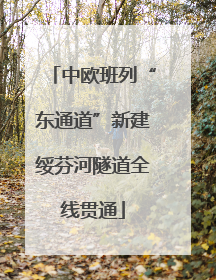 中欧班列“东通道”新建绥芬河隧道全线贯通