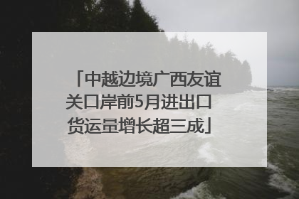 中越边境广西友谊关口岸前5月进出口货运量增长超三成