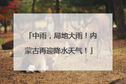 中雨，局地大雨！内蒙古再迎降水天气！