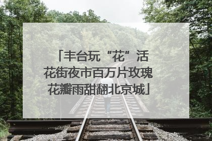 丰台玩“花”活 花街夜市百万片玫瑰花瓣雨甜翻北京城
