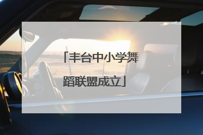 丰台中小学舞蹈联盟成立