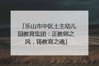 乐山市中区土主幼儿园教育集团：正教师之风，铸教育之魂