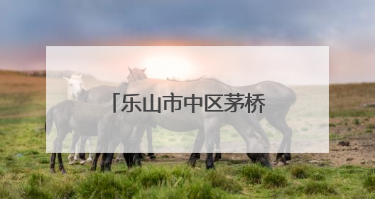乐山市中区茅桥幼儿园：扎辫活动中的童趣与成长