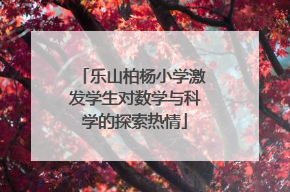 乐山柏杨小学激发学生对数学与科学的探索热情