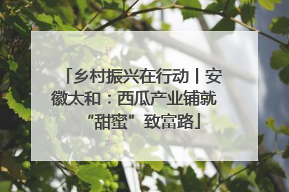 乡村振兴在行动丨安徽太和：西瓜产业铺就“甜蜜”致富路