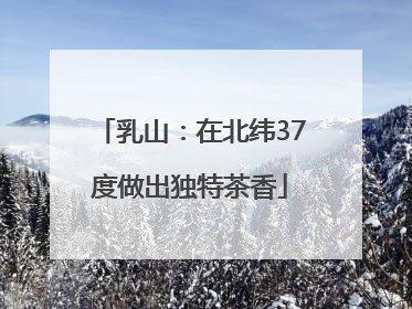乳山：在北纬37度做出独特茶香