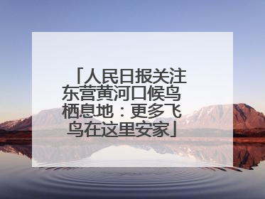 人民日报关注东营黄河口候鸟栖息地：更多飞鸟在这里安家