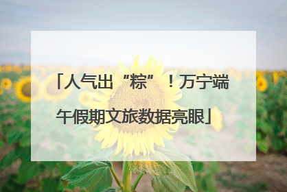 人气出“粽”！万宁端午假期文旅数据亮眼