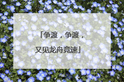 争渡，争渡，又见龙舟竞速