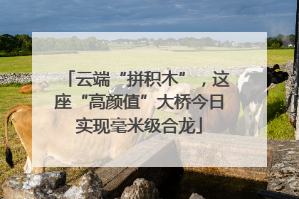 云端“拼积木”，这座“高颜值”大桥今日实现毫米级合龙