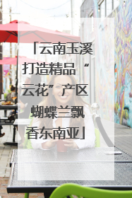 云南玉溪打造精品“云花”产区 蝴蝶兰飘香东南亚