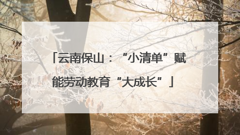 云南保山：“小清单”赋能劳动教育“大成长”