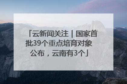 云新闻关注｜国家首批39个重点培育对象公布，云南有3个