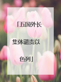 五国外长集体谴责以色列