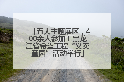 五大主题展区，400余人参加！黑龙江省希望工程“义卖童园”活动举行