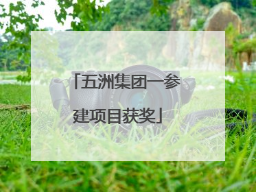 五洲集团一参建项目获奖