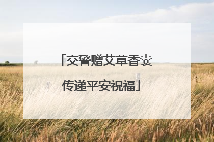 交警赠艾草香囊 传递平安祝福