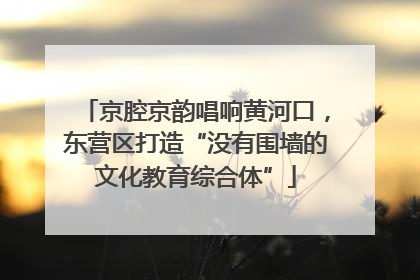 京腔京韵唱响黄河口，东营区打造“没有围墙的文化教育综合体”