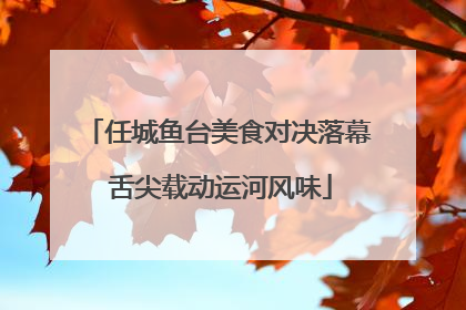 任城鱼台美食对决落幕 舌尖载动运河风味