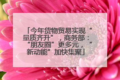 今年货物贸易实现“量质齐升”，商务部：“朋友圈”更多元，“新动能”加快集聚