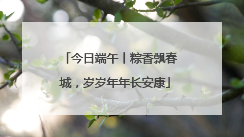 今日端午丨粽香飘春城，岁岁年年长安康