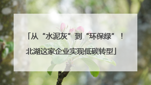 从“水泥灰”到“环保绿”！北湖这家企业实现低碳转型
