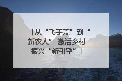 从“飞手荒”到“新农人” 激活乡村振兴“新引擎”
