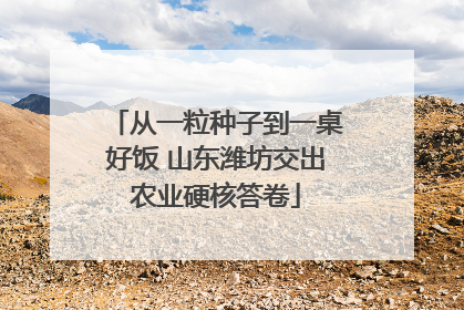 从一粒种子到一桌好饭 山东潍坊交出农业硬核答卷