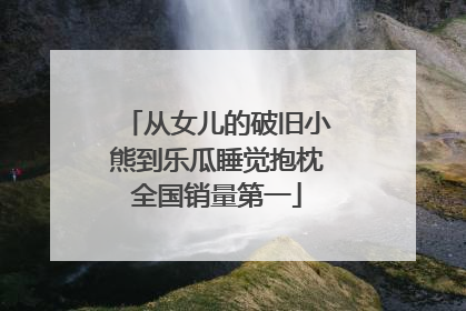 从女儿的破旧小熊到乐瓜睡觉抱枕全国销量第一
