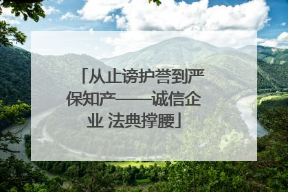 从止谤护誉到严保知产——诚信企业 法典撑腰