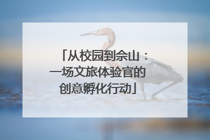 从校园到佘山：一场文旅体验官的创意孵化行动