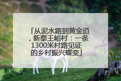 从泥水路到黄金道，新泰王峪村：一条1300米村路见证的乡村振兴蝶变