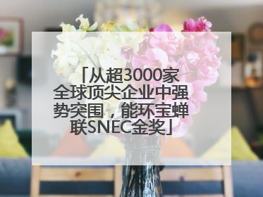 从超3000家全球顶尖企业中强势突围，能环宝蝉联SNEC金奖