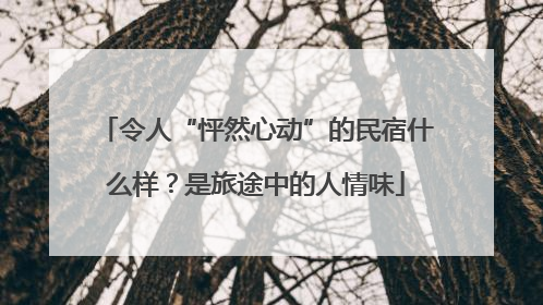 令人“怦然心动”的民宿什么样？是旅途中的人情味