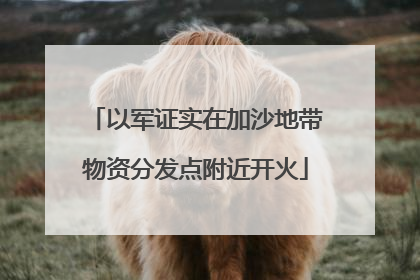 以军证实在加沙地带物资分发点附近开火