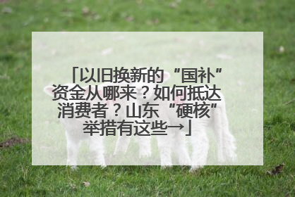 以旧换新的“国补”资金从哪来？如何抵达消费者？山东“硬核”举措有这些→