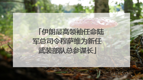 伊朗最高领袖任命陆军总司令穆萨维为新任武装部队总参谋长
