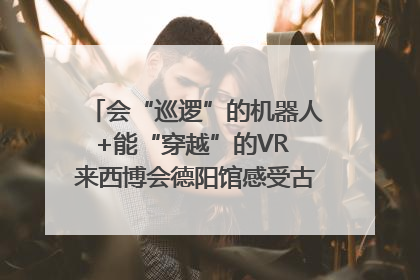会“巡逻”的机器人+能“穿越”的VR 来西博会德阳馆感受古蜀文明与现代智造的时空对话｜西博视界