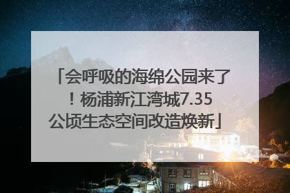 会呼吸的海绵公园来了！杨浦新江湾城7.35公顷生态空间改造焕新