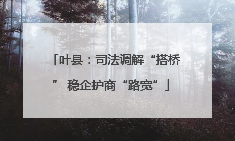 叶县：司法调解“搭桥” 稳企护商“路宽”