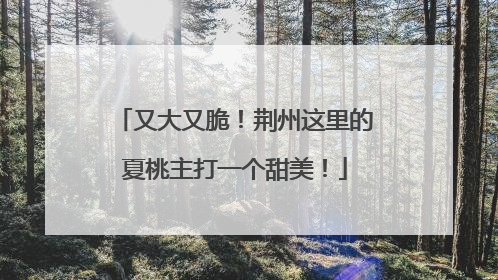 又大又脆！荆州这里的夏桃主打一个甜美！
