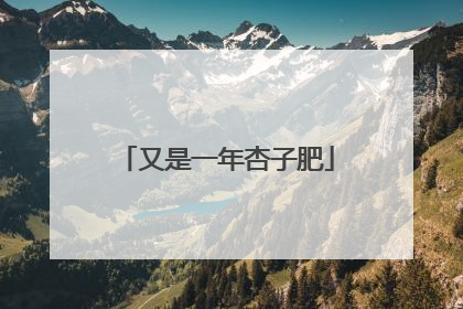 又是一年杏子肥