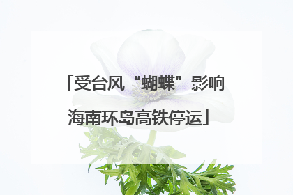 受台风“蝴蝶”影响 海南环岛高铁停运