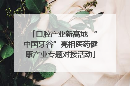 口腔产业新高地 “中国牙谷”亮相医药健康产业专题对接活动