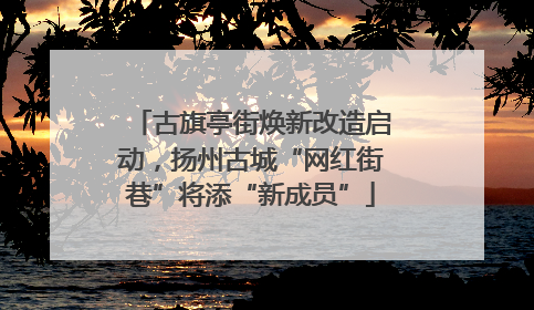 古旗亭街焕新改造启动，扬州古城“网红街巷”将添“新成员”