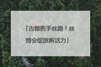 古都携手丝路！丝博会绽放新活力
